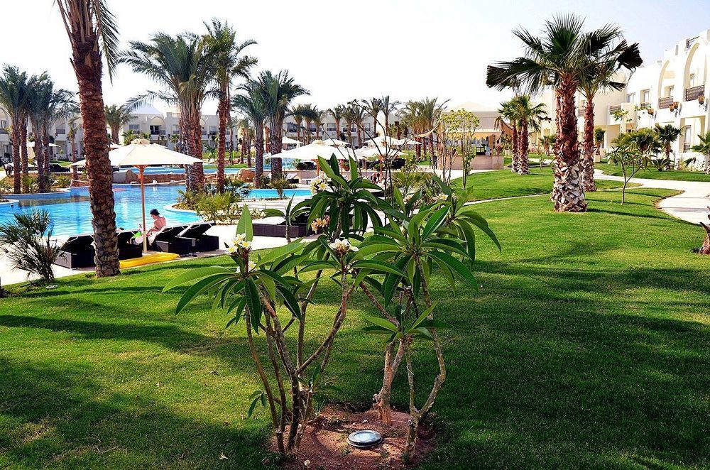 Le Royal Holiday Resort Aqua Park Sarm es-Sejk Kültér fotó